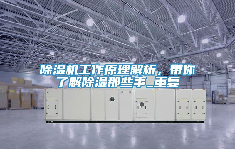 91看片软件大全工作原理解析，帶你了解除濕那些事_重複
