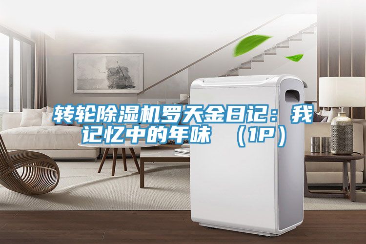 轉輪91看片软件大全羅天金日記：我記憶中的年味 （1P）