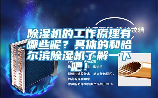 91看片软件大全的工作原理有哪些呢？具體的和哈爾濱91看片软件大全了解一下吧！