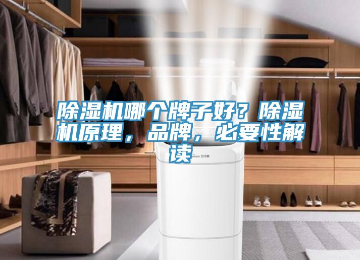 91看片软件大全哪個牌子好？91看片软件大全原理，品牌，必要性解讀