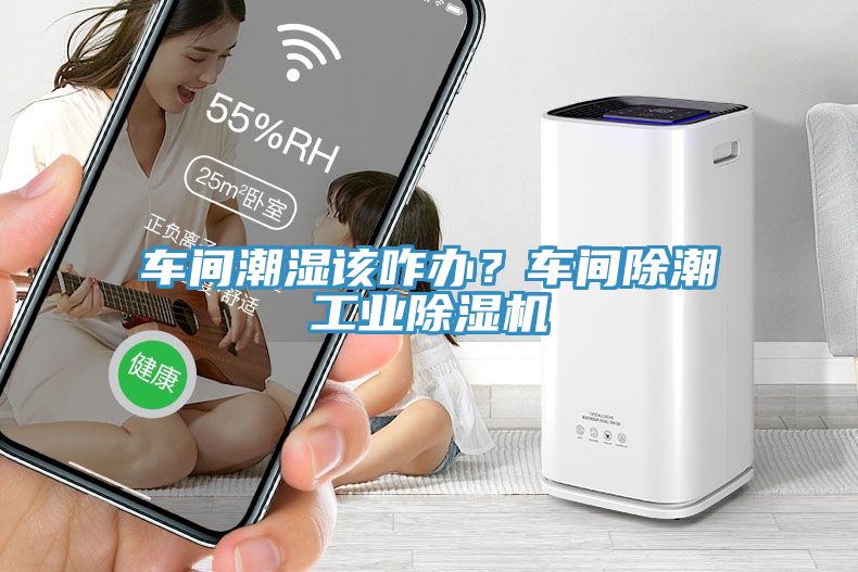 車間潮濕該咋辦？車間除潮工業91看片软件大全