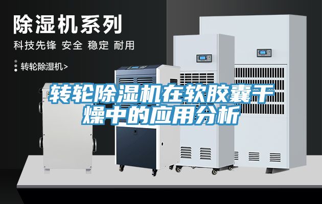 轉輪91看片软件大全在軟膠囊幹燥中的應用分析