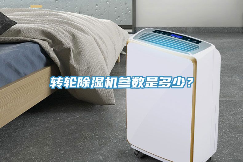 轉輪91看片软件大全參數是多少？