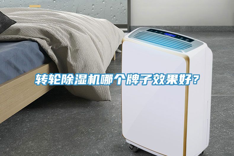 轉輪91看片软件大全哪個牌子效果好？