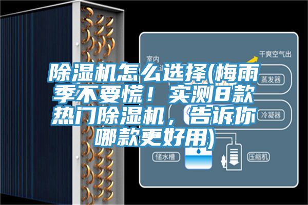 91看片软件大全怎麽選擇(梅雨季不要慌！實測8款熱門91看片软件大全，告訴你哪款更好用)