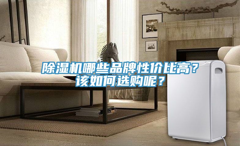 91看片软件大全哪些品牌性價比高？該如何選購呢？