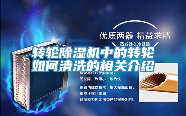 轉輪91看片软件大全中的轉輪如何清洗的相關介紹
