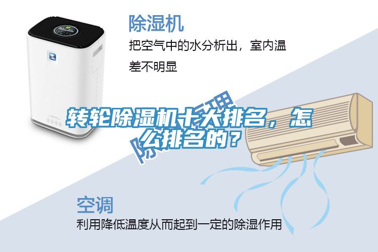 轉輪91看片软件大全十大排名，怎麽排名的？