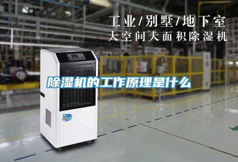 91看片软件大全的工作原理是什麽