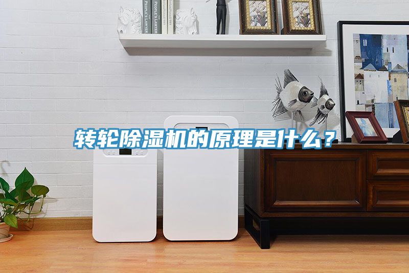 轉輪91看片软件大全的原理是什麽？