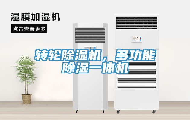 轉輪91看片软件大全，多功能除濕一體機