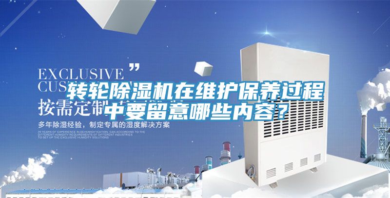 轉輪91看片软件大全在維護保養過程中要留意哪些內容？
