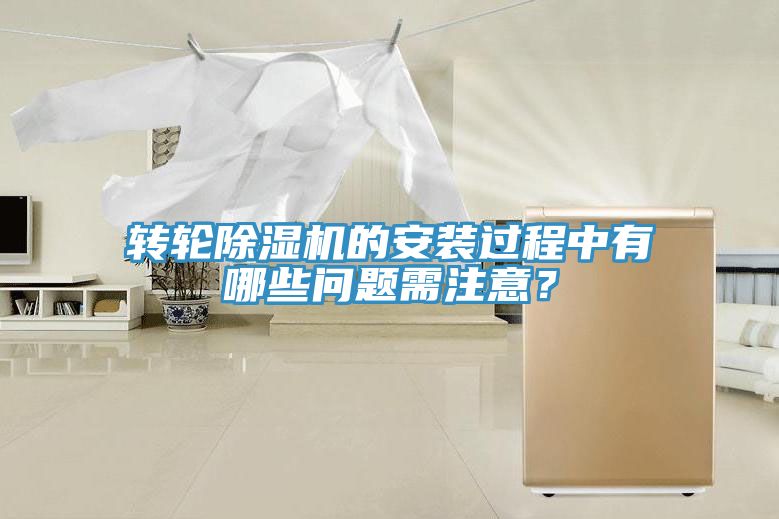 轉輪91看片软件大全的安裝過程中有哪些問題需注意？