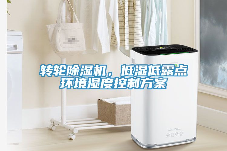 轉輪91看片软件大全，低濕低露點環境濕度控製方案