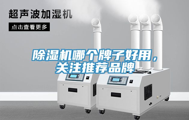 91看片软件大全哪個牌子好用，關注推薦品牌
