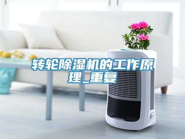 轉輪91看片软件大全的工作原理_重複