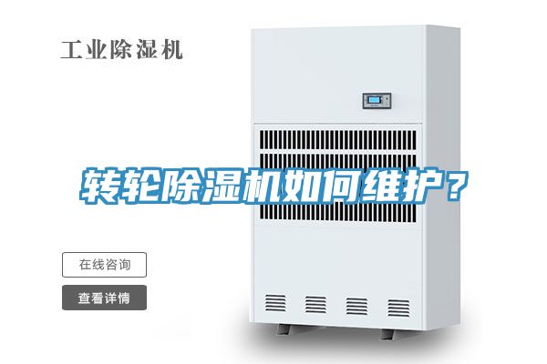 轉輪91看片软件大全如何維護？