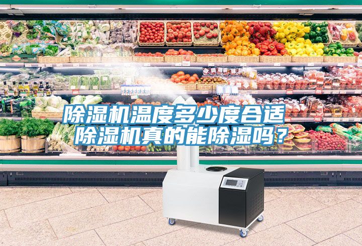 91看片软件大全溫度多少度合適 91看片软件大全真的能除濕嗎？