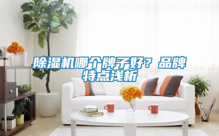 91看片软件大全哪個牌子好？品牌特點淺析