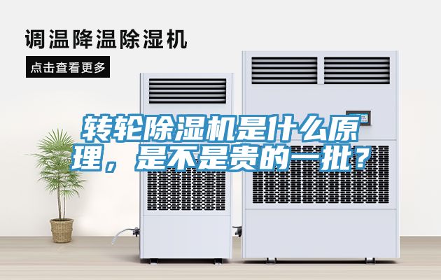 轉輪91看片软件大全是什麽原理，是不是貴的一批？