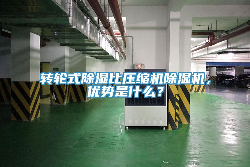 轉輪式除濕比壓縮機91看片软件大全，優勢是什麽？