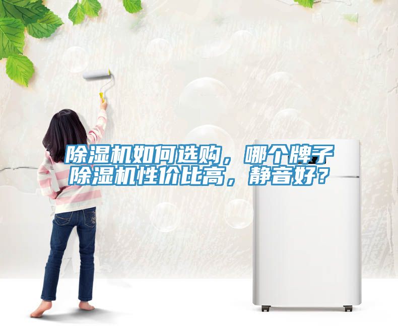 91看片软件大全如何選購，哪個牌子91看片软件大全性價比高，靜音好？