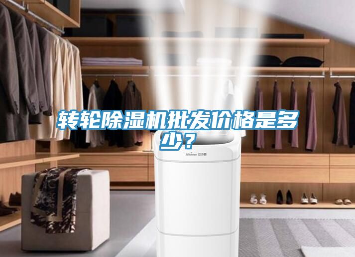 轉輪91看片软件大全批發價格是多少？