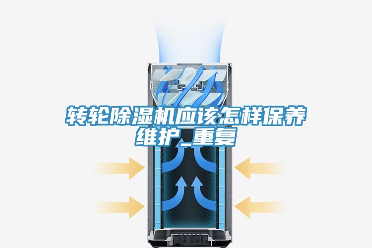 轉輪91看片软件大全應該怎樣保養維護_重複