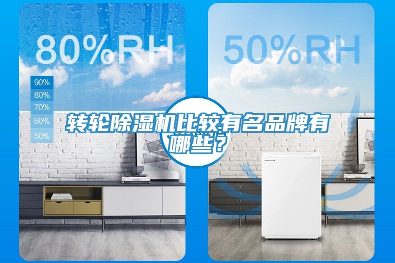 轉輪91看片软件大全比較有名品牌有哪些？
