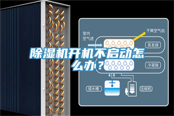 91看片软件大全開機不啟動怎麽辦？