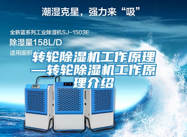 轉輪91看片软件大全工作原理—轉輪91看片软件大全工作原理介紹