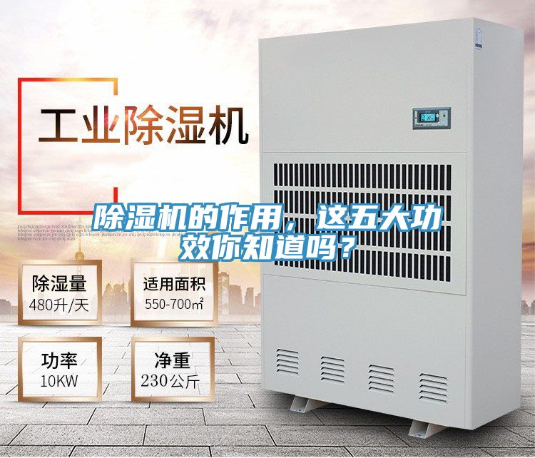 91看片软件大全的作用，這五大功效你知道嗎？