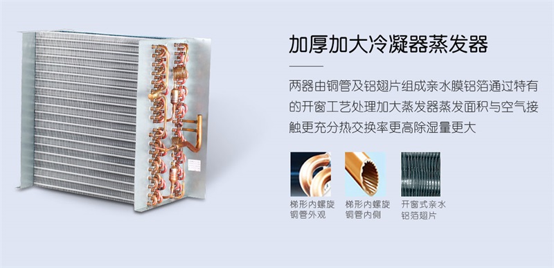 手推91看片软件大全2